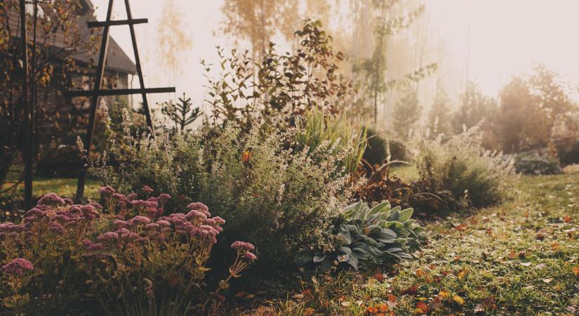 Időjárás 2025. november 21.: A hűvös, nedves reggel után kisüthet a nap?