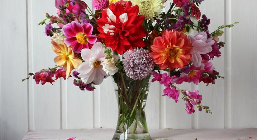 Ma, november 21., Olivér és Kolumbán névnapja van – Milyen a személyiségük?