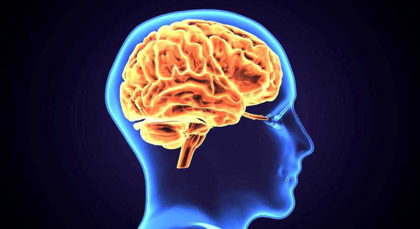 A szellemi termékek számviteli és adózási megítélése 2025-ben