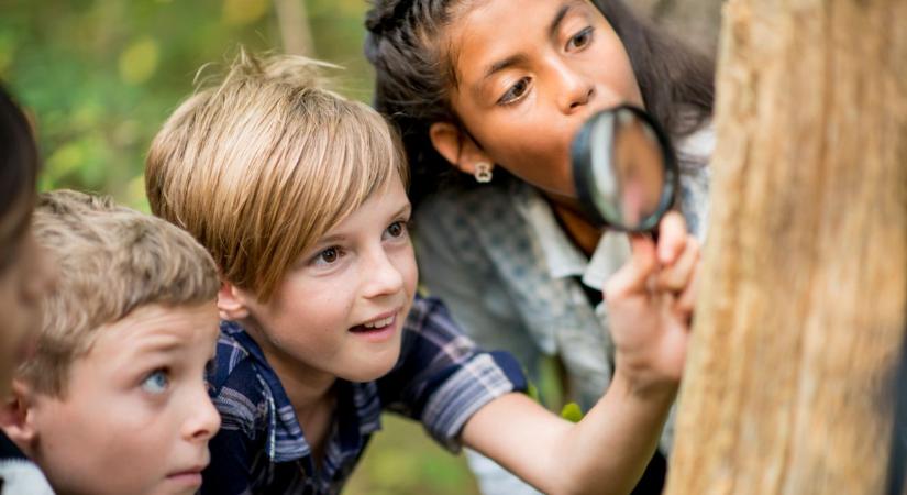 Indul az osztálykaland: 10 millió forint támogatást osztanak szét a legjobbaknak