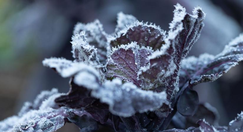 Durva időjárás közelít, erre kell készülni pénteken