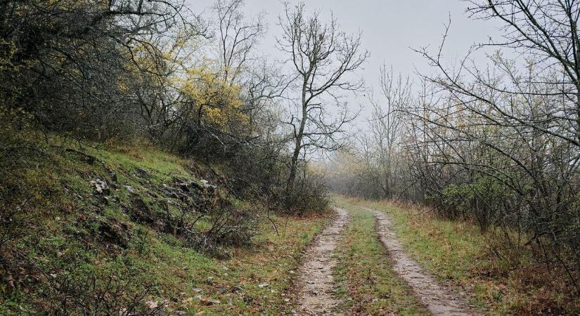 Pénteken érkezik a csapadékos, télies fordulat
