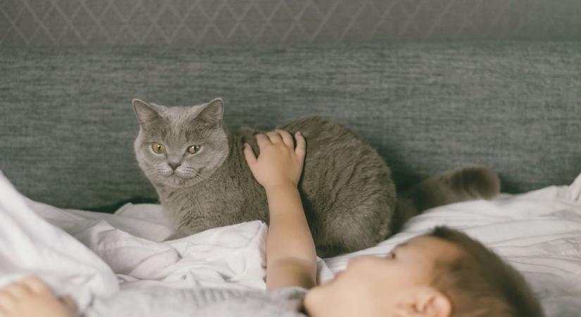 Éjjeli pisibaleset télen: mit kezdjünk a matraccal, hogy ne kelljen kidobni?