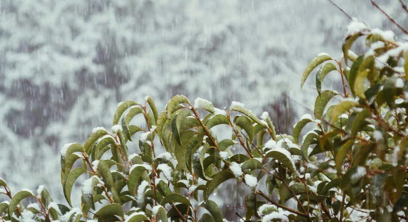 Vasárnaptól 10–15 fokot zuhan a hőmérséklet, havazás várható