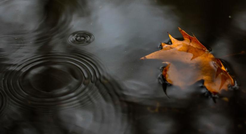 Őszi szürkeség és hűvös levegő vár holnap Csongrád Csanádban