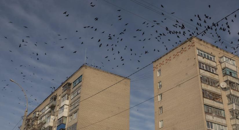 Az oroszok azt állítják, elfoglalták Kupjanszk városát, Ukrajna szerint ez nem igaz