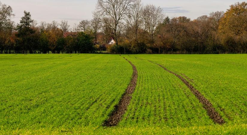 A siker kulcsa a tudatos tervezés – az év utolsó szakmai webinárja jön!