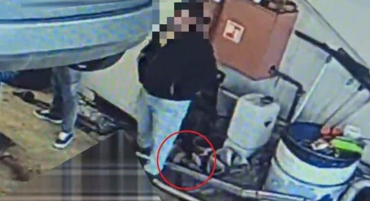 Vevőknek adták ki magukat, közben katalizátorokat loptak egy gumisműhelyben