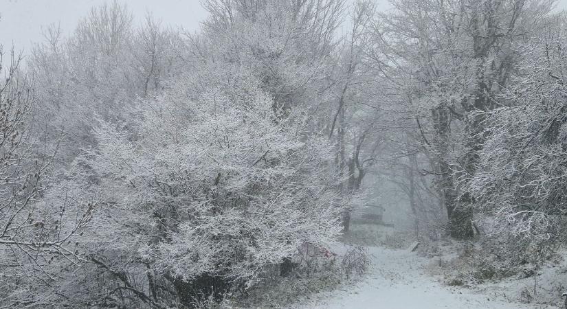 Hó fedheti szombatra az egész országot: pénteken reggel már sok helyen havazásra ébredtek