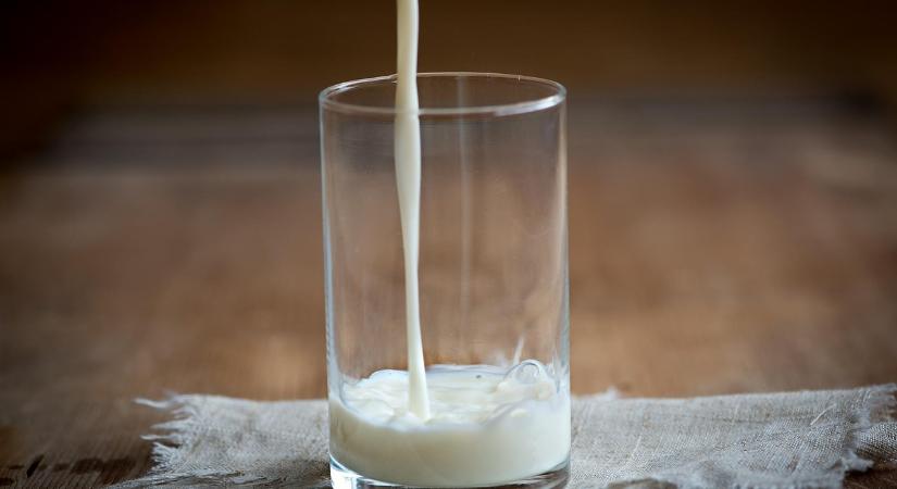 Emelkedett a nyerstej termelői ára, miközben az exportára jelentősen visszaesett egy év alatt