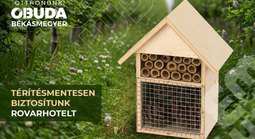 Térítésmentesen biztosítunk rovarszállókat – Már lehet regisztrálni