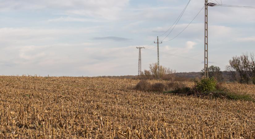 Ásó, kapa, gereblye 148. - Határszemle