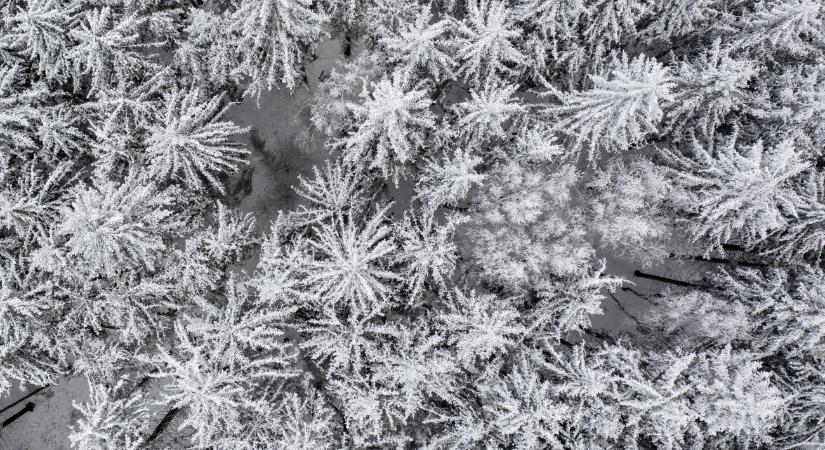 Ez a havazás most nem marad abba – helyzet és jövőkép