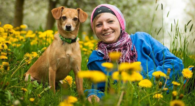 Ez a kutyák kedvenc szava, sokat elárul házi kedvenceinkről