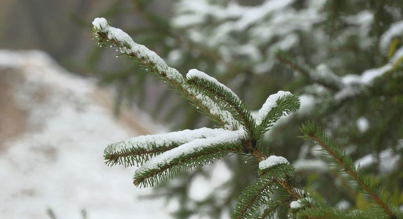 Megérkezett az első hó