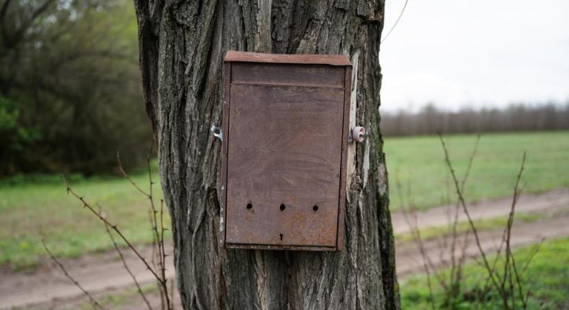 Egy somogyi kézbesítő nem hajlandó terjeszteni a Bors háborúval riogató mellékletét, 850 példány maradt nála