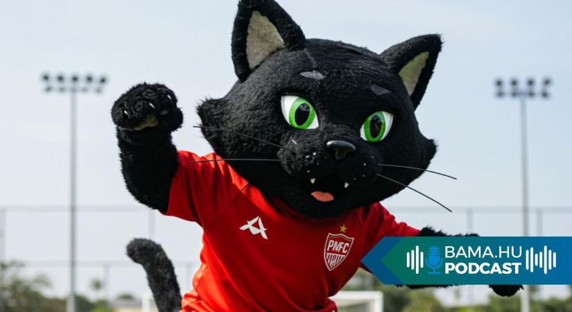 Bírnád, ha a PMFC-nek lenne kabalája? Mi PaMacskára szavazunk!