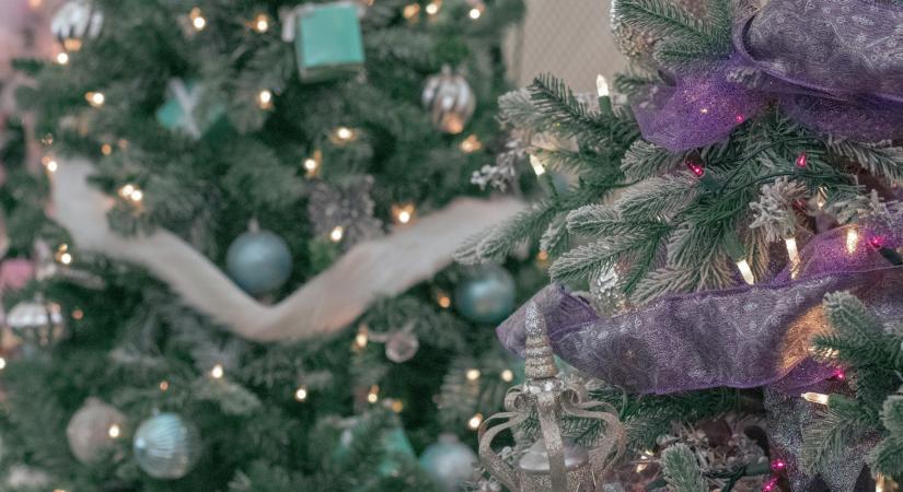 Melyik műfenyőt választanád? Meglepő dolgokat árul el rólad!