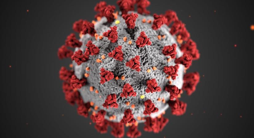 Hepatitis A okoz járványt Magyarországon, ezek a tünetei