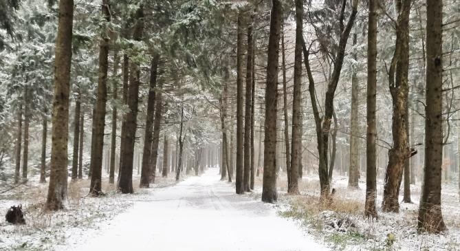 A fehér tájak mellett néhol kiadós, 20-25 mm esőt kaptunk