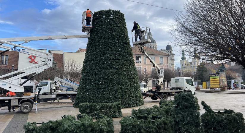 Épül az óriás műfenyő a marosvásárhelyi Színház téren - a virágóra helyére természetes fenyő kerül
