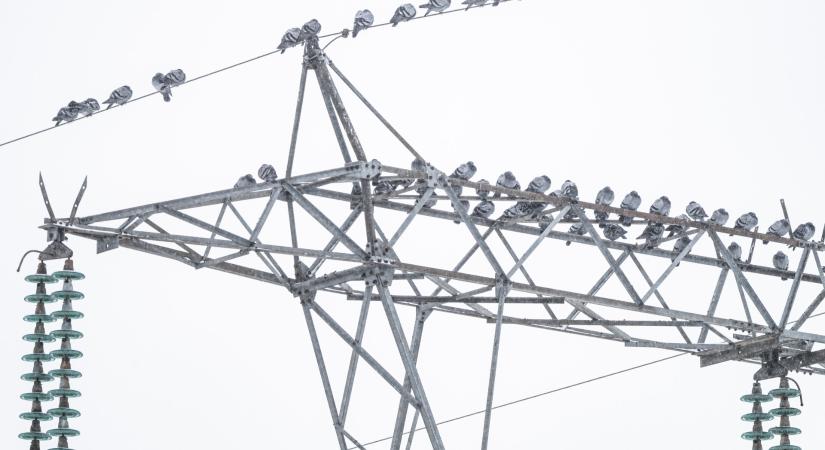 Végleg lehúzza a rolót a magyar határidős energiatőzsde, történelmi mélypontra zuhant a forgalma