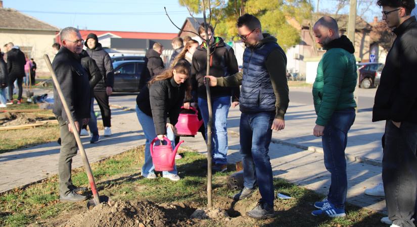 Végzősök Parkja Törökszentmiklóson – Egy fa, egy emlék, egy jövő