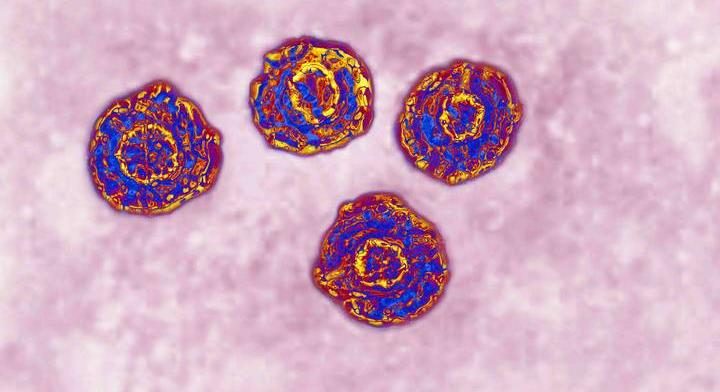 Veszélyes vírus szedi az áldozatait ebben az európai országban: vigyázz, ha ide utazol