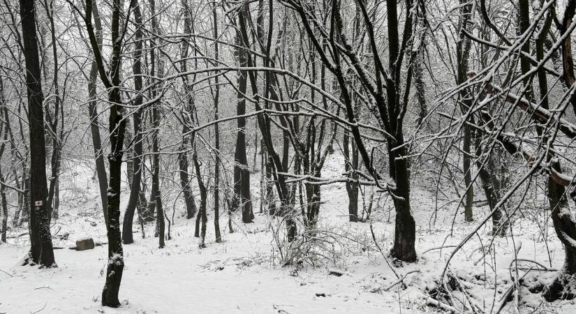 Friss fotókon a fehérbe borult táj: a Gerecsét is beborította az első hó