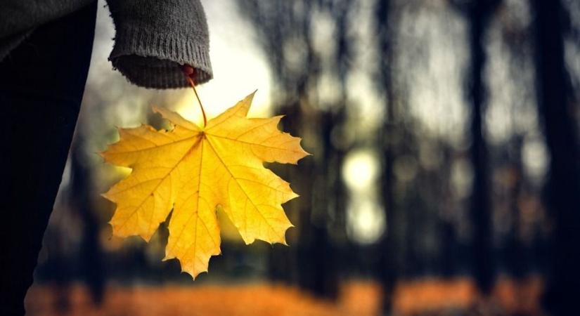Eljött az őszi didergés ideje – de a hideg nem mindig kívülről érkezik