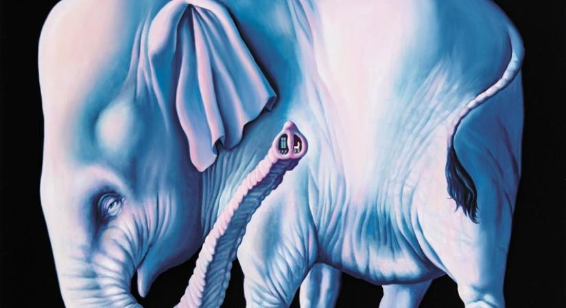 Több mint egymilliót hozott Závada képpé vált elefántja