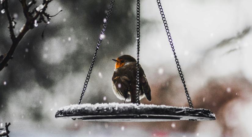Nagy széllel jön az első havazás, figyelmeztetnek