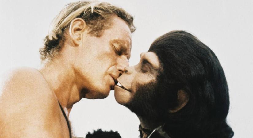 Meghatározták az első csók idejét a főemlősök között