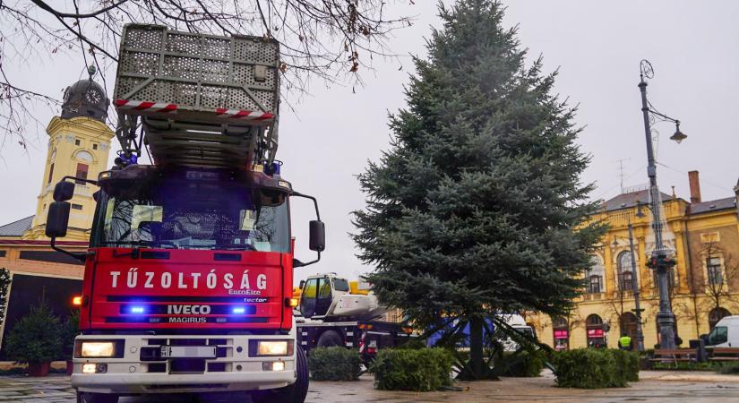 Már a helyén Debrecen karácsonyfája