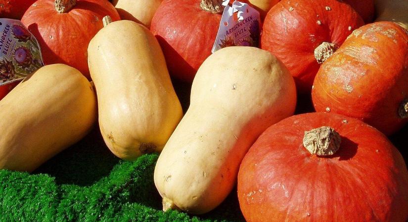 Ezeket a sütőtök recepteket kár lenne kihagyni!