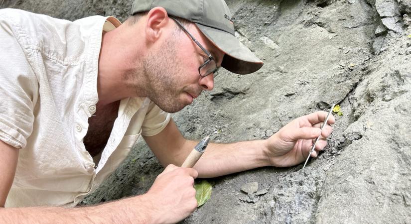 Kivételesen gazdag dinoszaurusz-lelőhelyet fedeztek fel Erdélyben