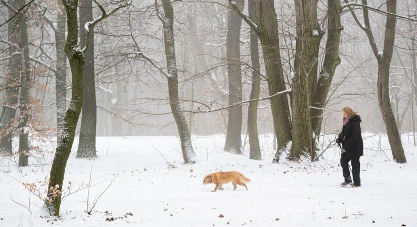 Hétvégi havazás: figyelmeztet a katasztrófavédelem