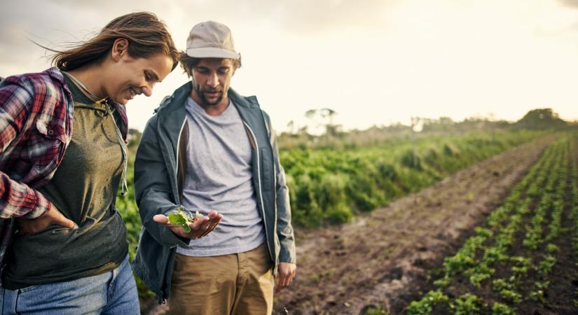 Nagy segítséget kapnak a fiatal gazdák: ez sok mindenre hatással lehet