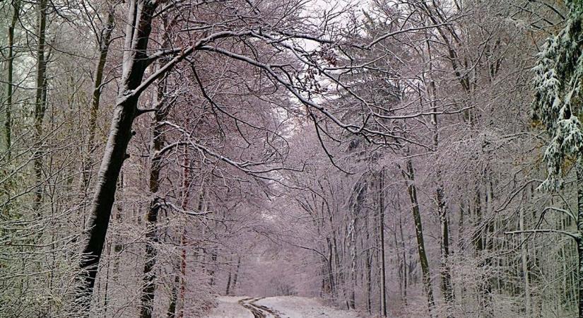Mutatjuk az első havas képeket a Bakonyból