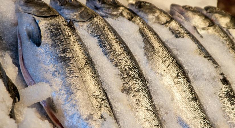 Így változik a hal ára tavaly karácsonyhoz képest