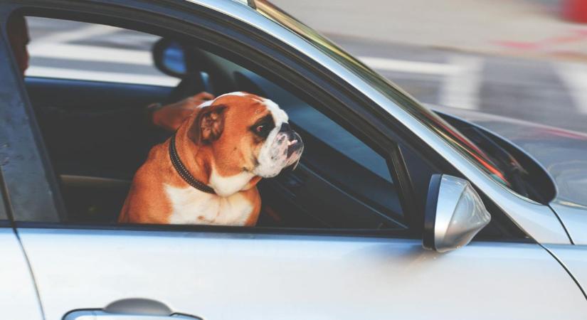 Ez történik, ha vezetés közben rükvercbe húzod a váltót – tudtad?