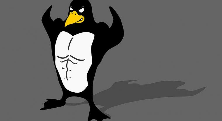 Olyan jól sikerül a Windowsnak az irányváltás, hogy egy hónap alatt 780 ezer ember próbált rá erre a Linuxra