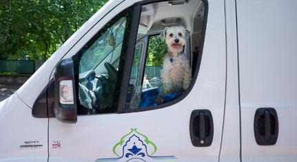 A TETTYE FORRÁSHÁZ Zrt. lett az Év Kutyabarát Munkahelye