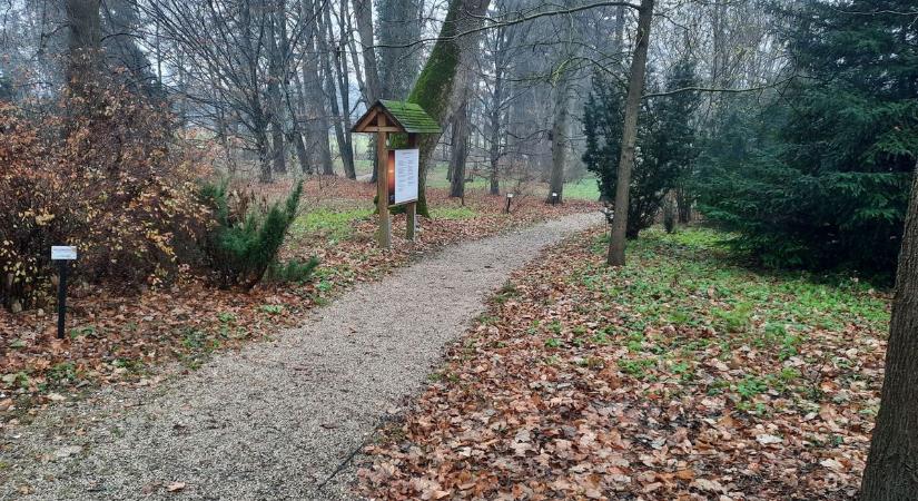 Csak hagyd ott! A lombtakarót a bakonyi bencések is bevetik a kertjük érdekében