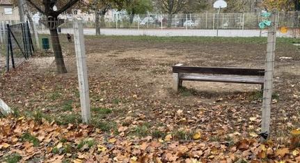 Vigyázzunk közösen pécsi kutyafuttatóinkra!