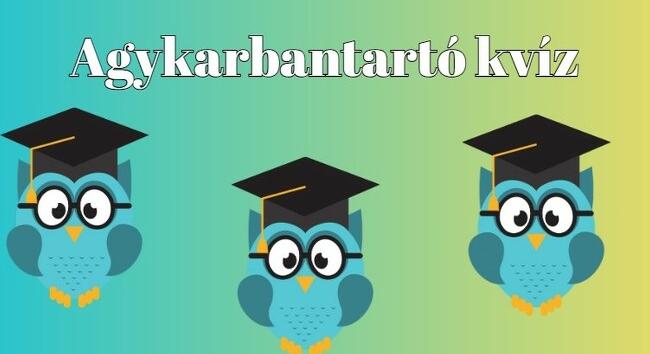 Agykarbantartó kvíz: Ha kvízkérdések több mint 75 százalékára helyesen válaszolsz, te egy zseni vagy