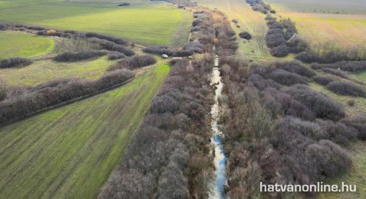 A Bene-patak és a Tarnóca élővilága és fontossága 