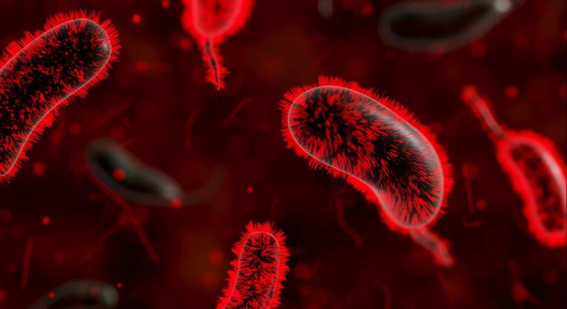 NNGYK: már több mint ezerhatszázan fertőződtek meg hepatitis A-val idén