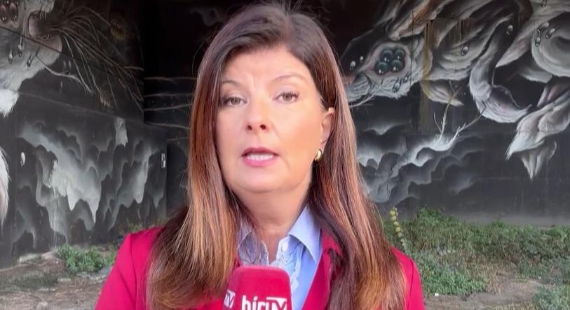 Milánóban nagyon magas a kiskorúak által elkövetett késelések száma  videó