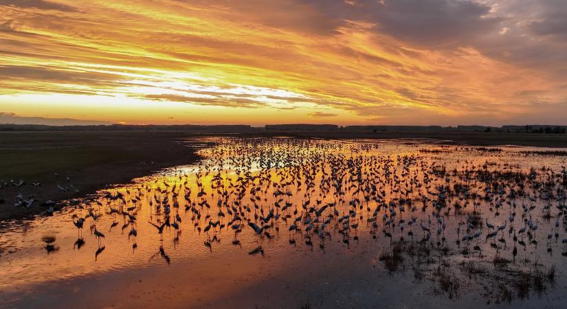 A halastavakra is kiterjedő tervezés a Hortobágyon